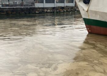 Müsilaj Bostancı sahilinde yüzeye çıktı