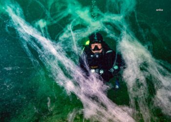 Prof. Dr. Sarı’dan müsilaj uyarısı: “Yaklaşık 7 hafta içinde bütün Marmara Denizi’ne yayıldı”