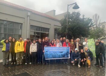 Marmara Cankurtaranını Arıyor