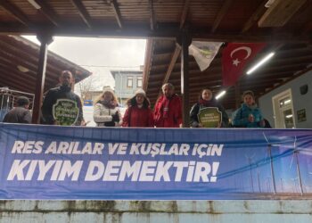 Kuzey Ormanları Şile köyleri RES saldırısına direniyor: Kadıköy’de ÇED’e izin verilmedi