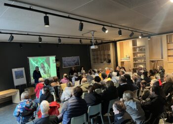 Marmara ikinci müsilaj yıkımı altında: “Deniz Cankurtaranını Arıyor”