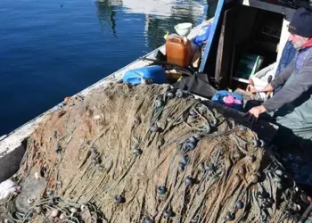 Marmara Denizi’ndeki yoğun müsilaj Tekirdağ’da balıkçılığı etkiliyor