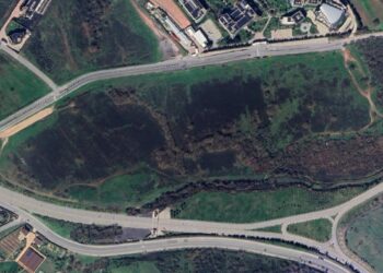 Mahkeme, Kuzey Ormanları’nın Ömerli Havzası’nda inşaat yağmasına dur dedi