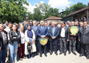 Şilelilerin zaferi: 90 hektarlık ormanlık alanda yapılmak istenen kalker ocağı projesi iptal edildi