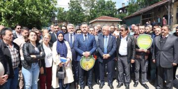 Şilelilerin zaferi: 90 hektarlık ormanlık alanda yapılmak istenen kalker ocağı projesi iptal edildi