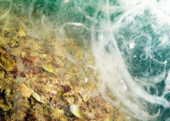 Yoğun deniz salyası (müsilaj) yüzeye yaklaşıyor!