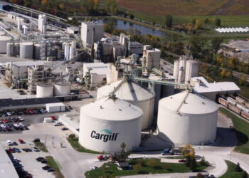 Cargill, İznik Gölü’nü ve Kuzey Ormanları kırsalını tahrip ediyor