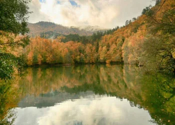 Bolu, Yedigöller: Altında ölüm var, bu topraklar satılık değil