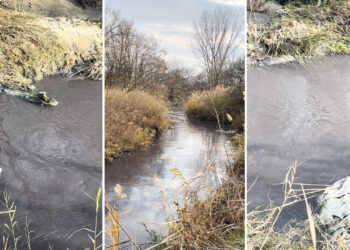 Kuzey Ormanları derelerini zehirliyorlar: Çorlu deresi sanayi atık kanalına dönüştü