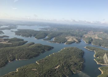 Kuzey Ormanları’nın Ömerli Havzası’nı Tehdit Eden Planlar İptal Edildi!