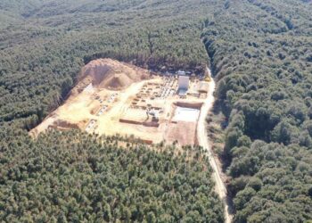 Trakya’nın ormanları için karar günleri yaklaşıyor, en az 38 RES inşaası yakın: Ağaç kıyımı kapıda