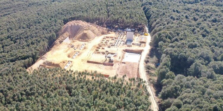 Trakya’nın ormanları için karar günleri yaklaşıyor, en az 38 RES inşaası yakın: Ağaç kıyımı kapıda