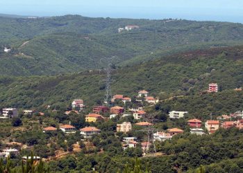 Bir kez daha orman yağmasına izin “müjdesi”