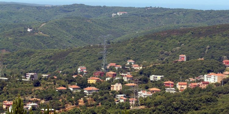 Bir kez daha orman yağmasına izin “müjdesi”