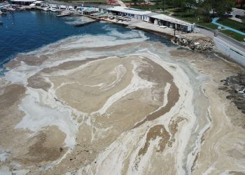 Çevre STK’larından Marmara Denizi Havzası İçin Hayati Çağrı