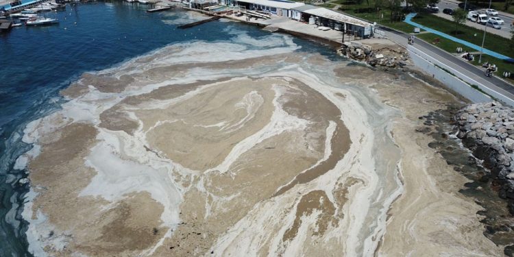 Çevre STK’larından Marmara Denizi Havzası İçin Hayati Çağrı