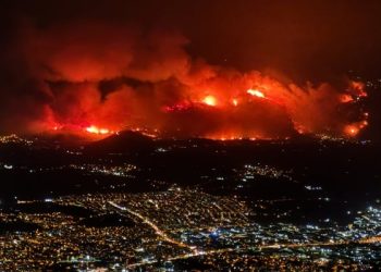 Ciğerlerimiz Yanarken Bütçe Eridi: OGM’ye Kaynak Yok