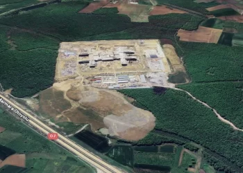 Kuzey Ormanları Sakarya mevkiinde ormanın kalbine girdiler