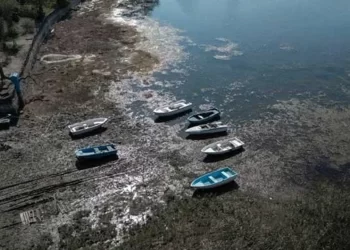 Sapanca Gölü su seviyesi hızla çekilmeye devam ediyor