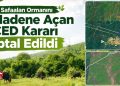 Trakya’da savunma kazandı: Safaalan Ormanını madene açan ÇED kararı iptal edildi
