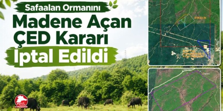 Trakya’da savunma kazandı: Safaalan Ormanını madene açan ÇED kararı iptal edildi