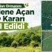 Trakya’da savunma kazandı: Safaalan Ormanını madene açan ÇED kararı iptal edildi